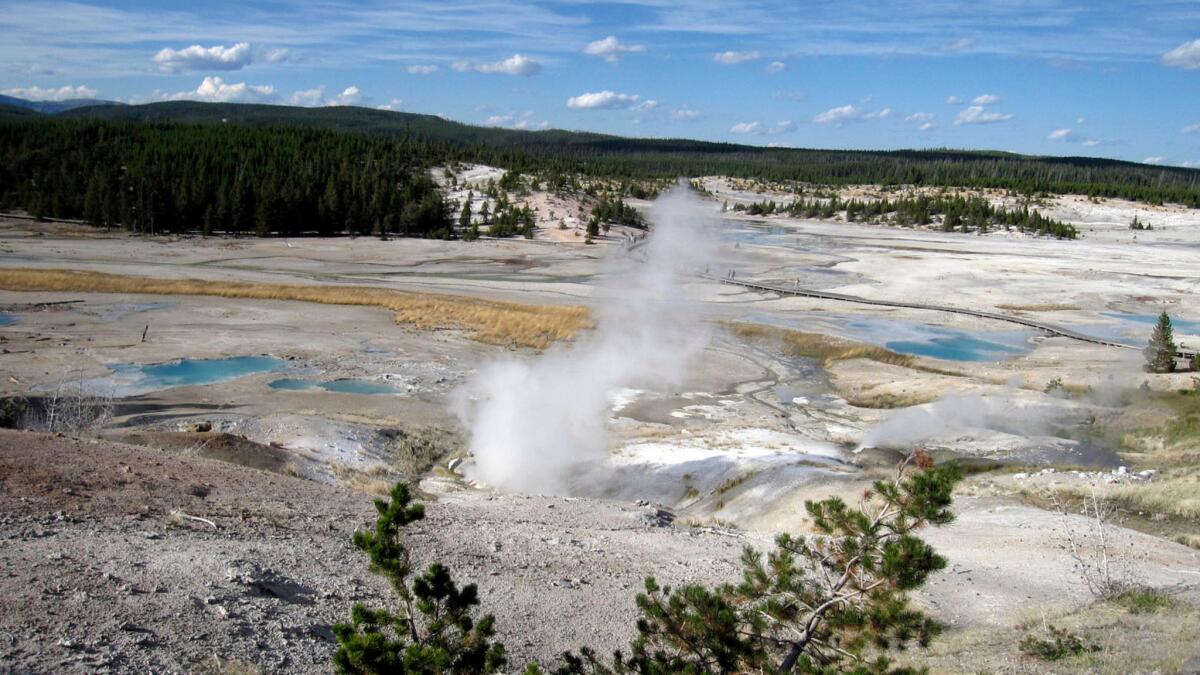 The Norris Geyser Basin in Yellowstone National Park, Wyo.