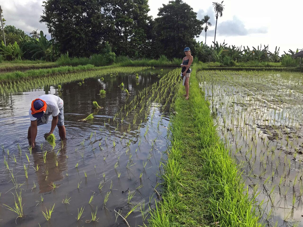 Keeping Bali clean