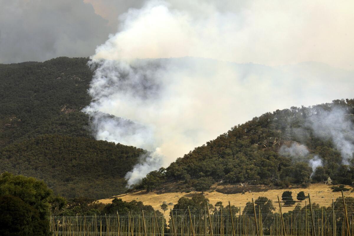 The burn line can be seen in the foothills of Mt. Buffalo in Victoria, Australia. A contingent of American hotshot firefighters are there working with Australians to combat wild fires in the Alpine National Park, northeast of Melbourne.