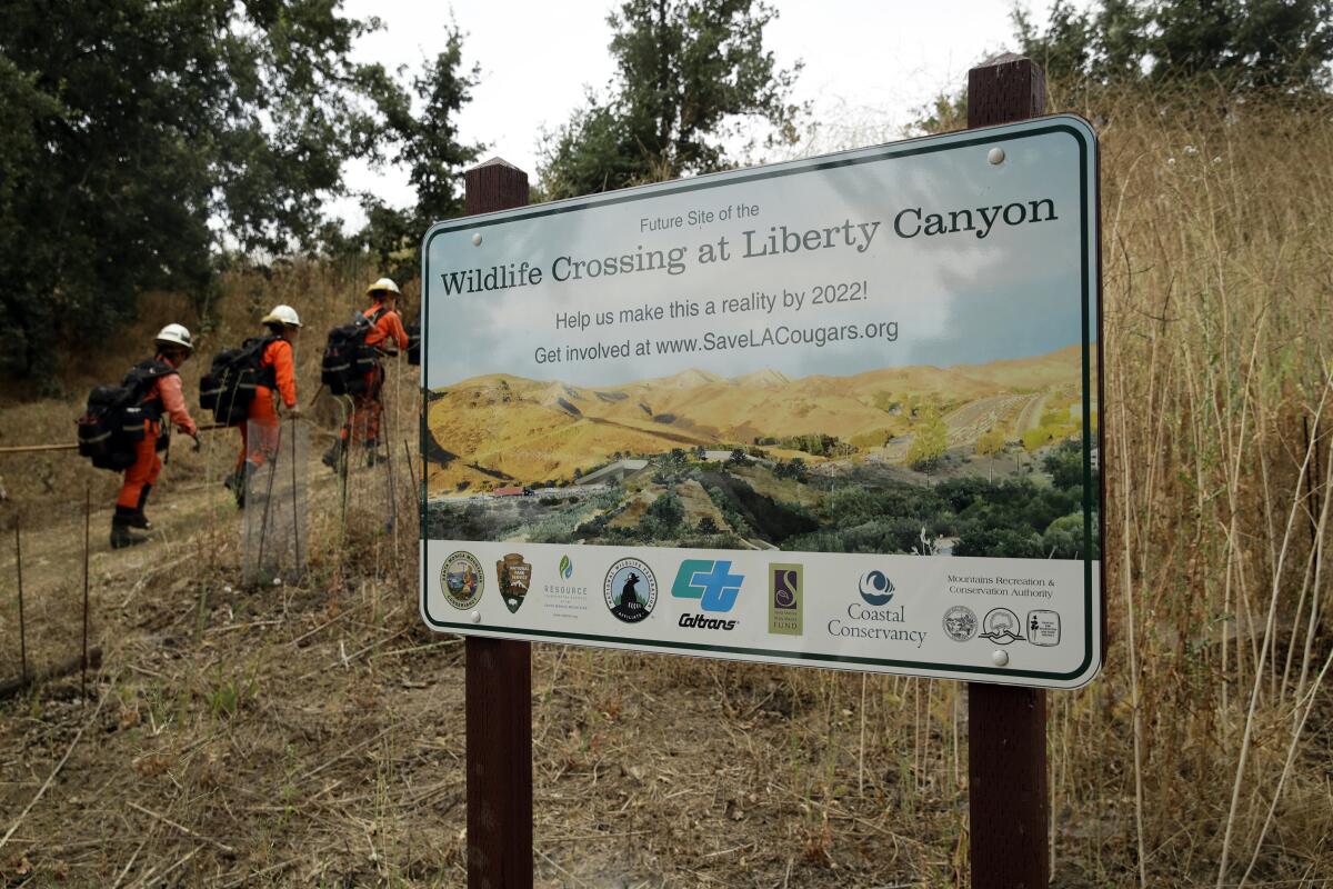 A fire crew walks past a sign for a wildlife crossing now under construction in Agoura Hills.