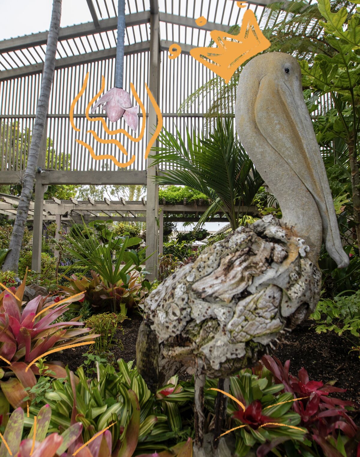 A banana flower hangs in the shade garden at the Sherman Library & Gardens in Corona del Mar.