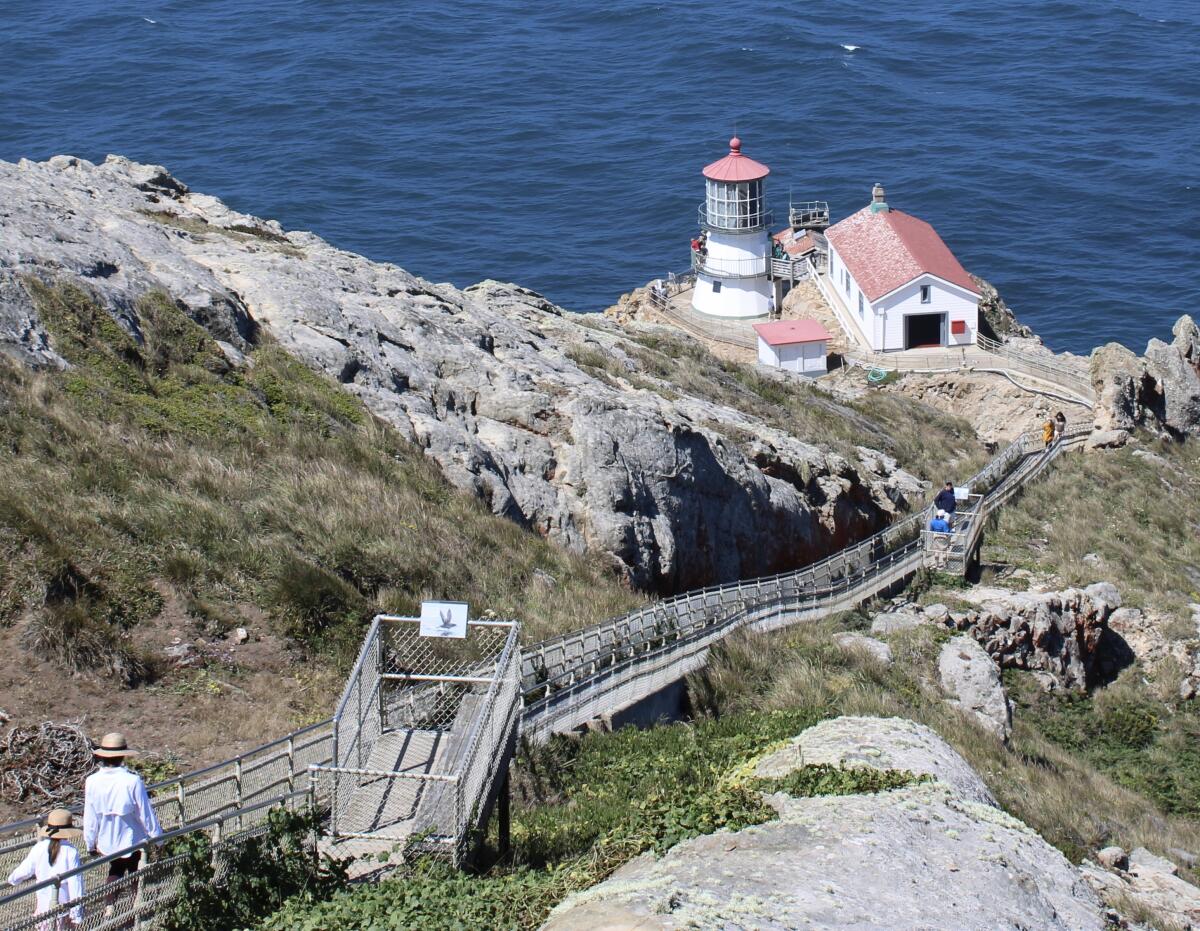Stairs lead down to a lighthouse on a coast.
