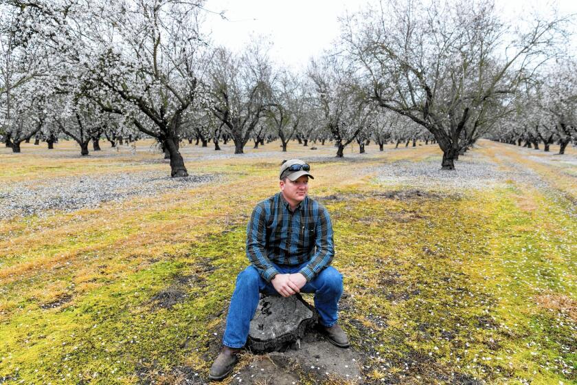 “Next year is scary,” said Jake Wenger, a fourth-generation nut farmer. “And that’s what we said last year.”