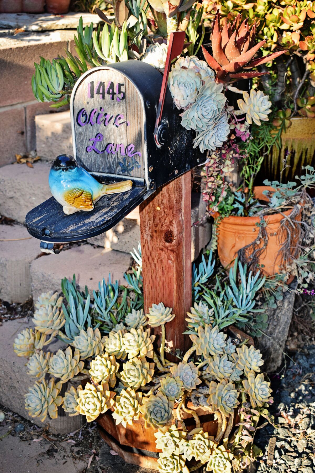 Olive Teodoro's husband, Arturo, transformed a discarded mailbox she found into a planter, which she adorned with succulents.
