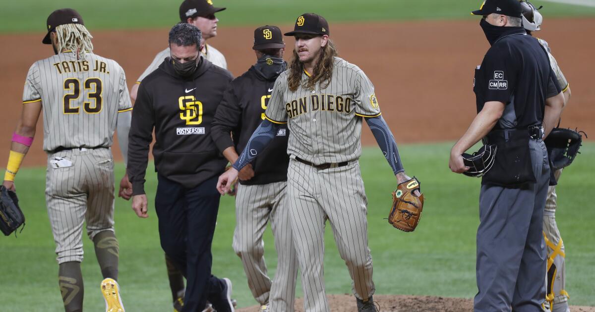 Meet the young Dodgers fan who dreams of being an MLB umpire one day - The  Athletic