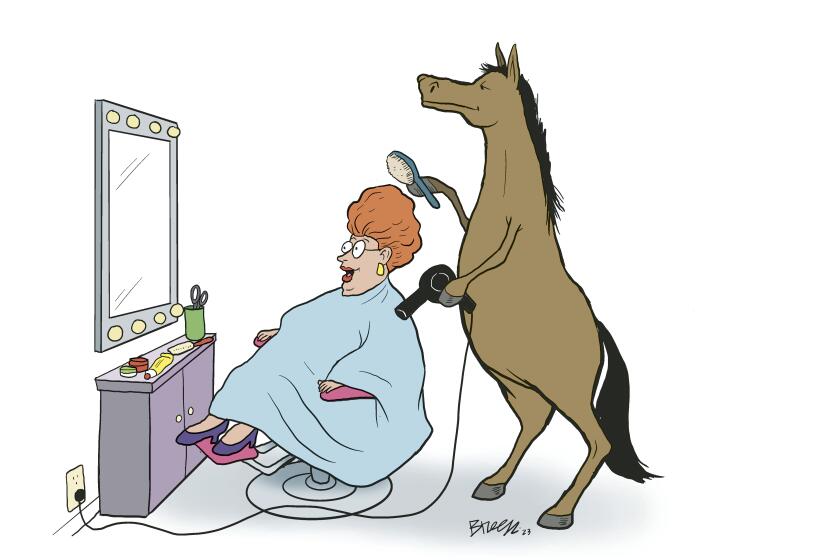 breen horse hairdresser