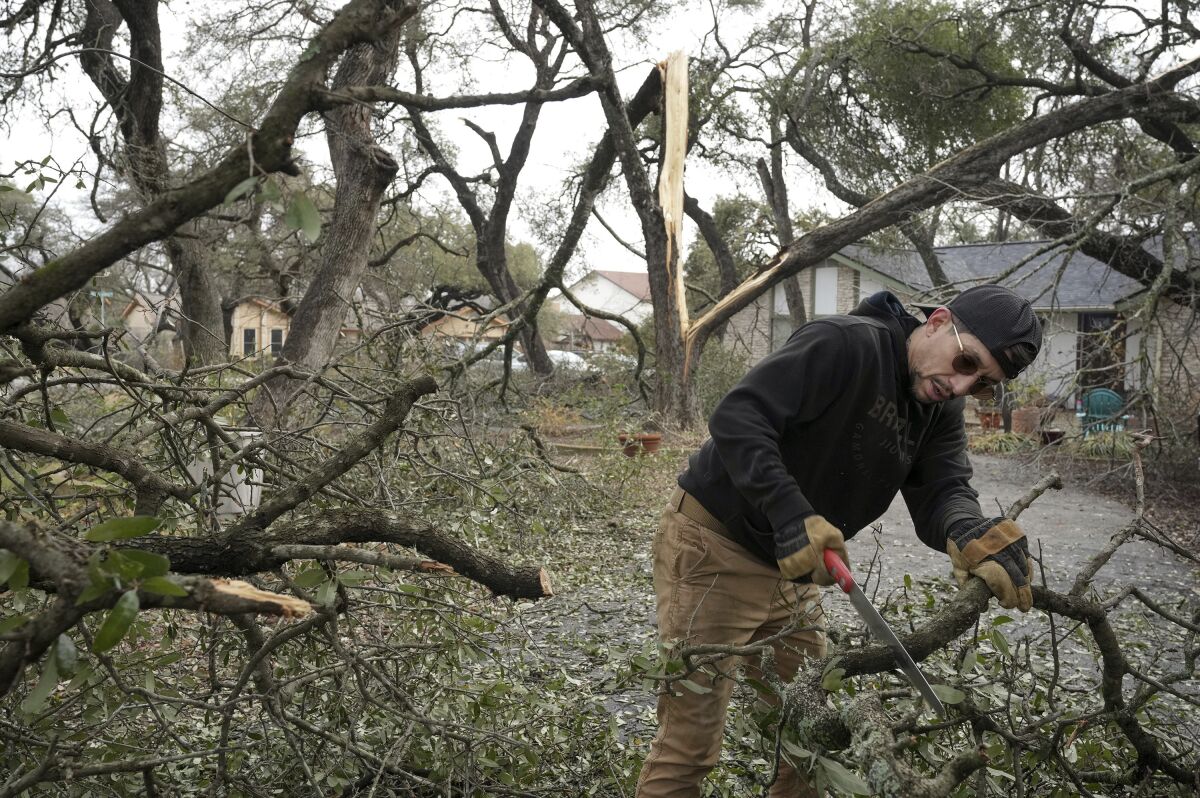 Jojo Mairena-Davila uses a handsaw to remove a large tree that fell in his yard on Broadmeade Avenue, Friday, Feb. 3, 2023, in Austin, Texas, following a winter ice storm. (Jay Janner/Austin American-Statesman via AP)