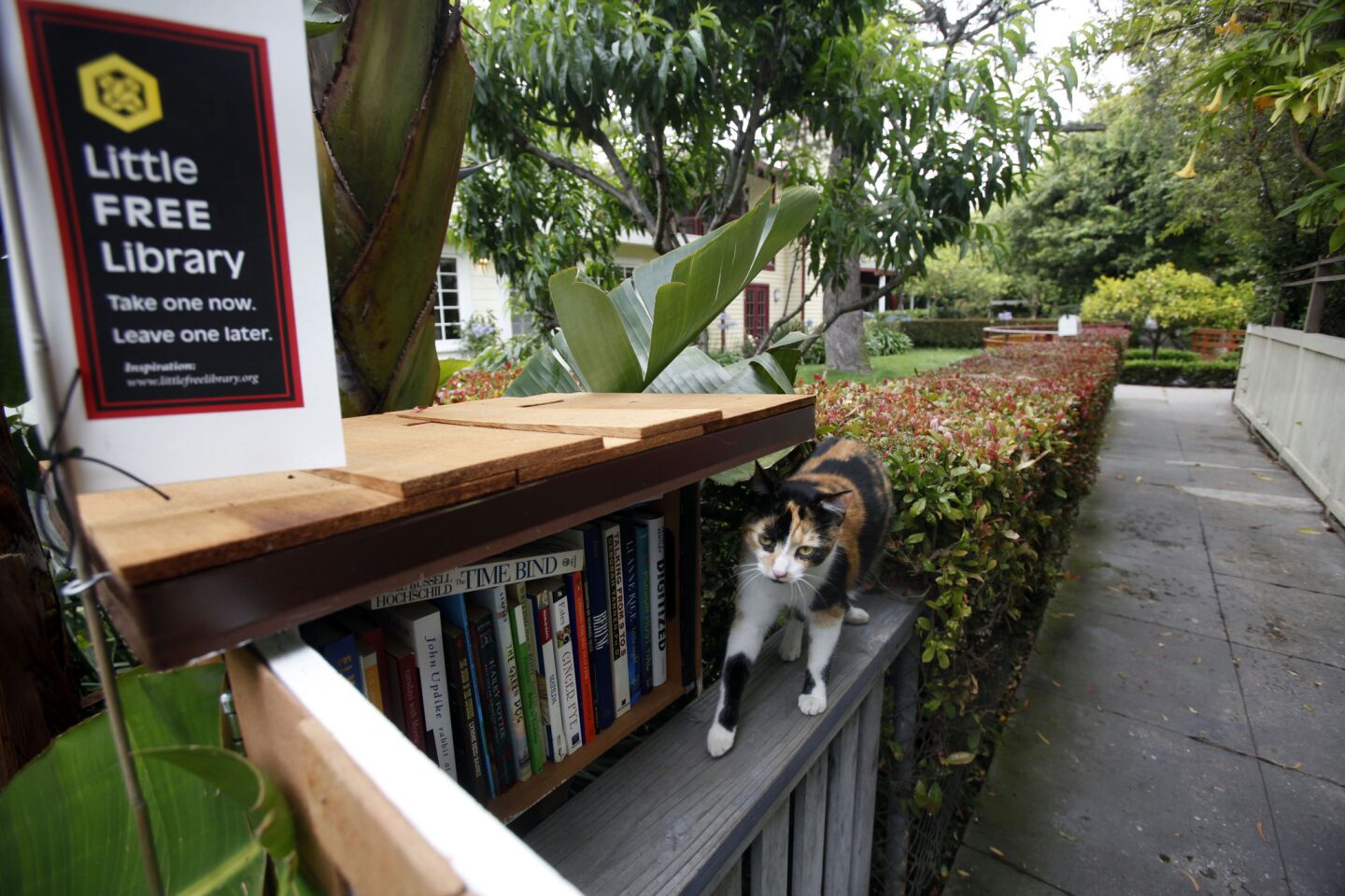 Little Free Library in Venice