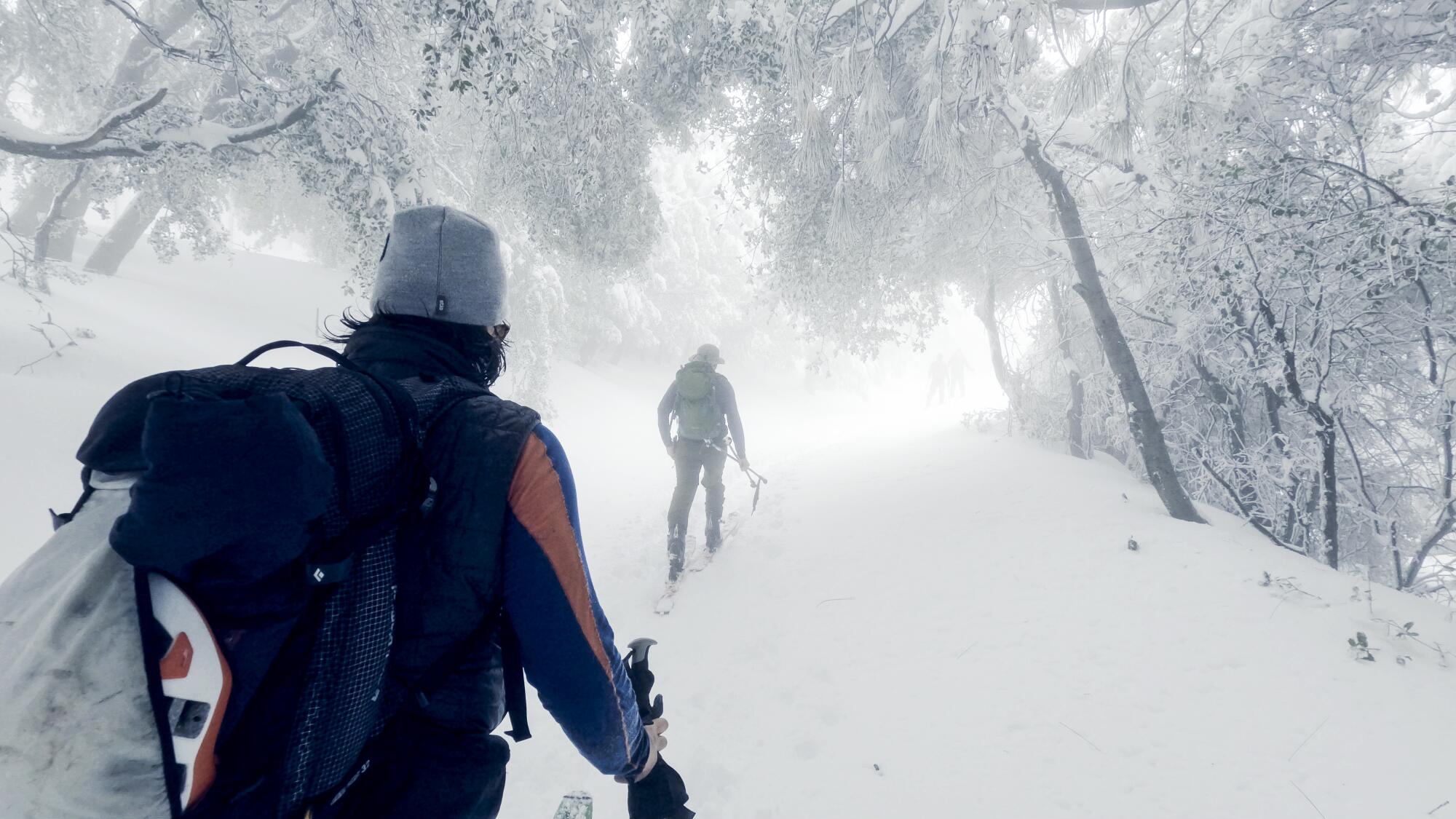 A group of skiers make their way up Mt. Lukens on the morning of Feb. 26.