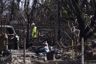 FILE - A worker walks through a destroyed property, Friday, Dec. 8, 2023, in Lahaina, Hawaii. The day after the deadliest U.S. wildfire in a century destroyed a seaside community on Maui, the barrage of 911 calls didn't stop: Reports of missing people, stranded family members and confused tourists trapped without food or water lit up the emergency lines every few minutes, interspersed with reports of new fires starting and older ones flaring back up. (AP Photo/Lindsey Wasson, File)