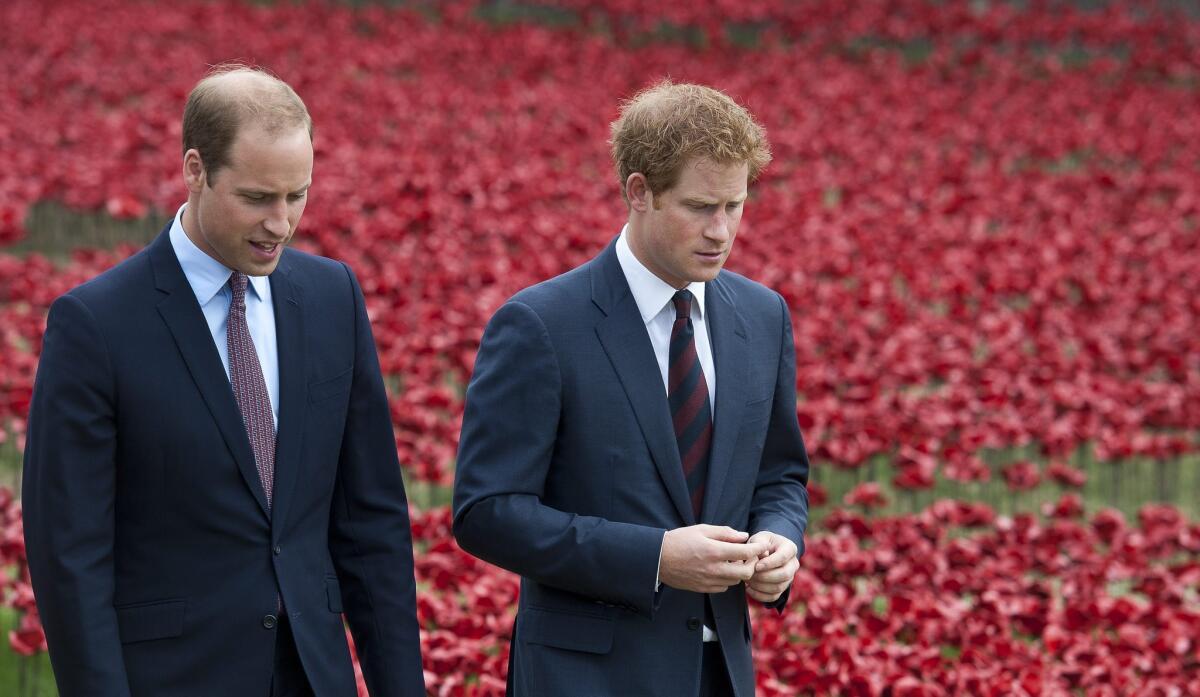 Britain's Prince William, Duke of Cambridge, left, and his brother Prince Harry walk through a sea of red ceramic poppies inside the moat at the Tower of London, where they were installed in memory of the British and Commonwealth dead from World War I.
