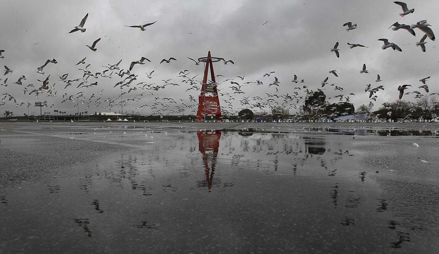 Development plan for Angel Stadium site submitted to city of Anaheim -  Halos Heaven