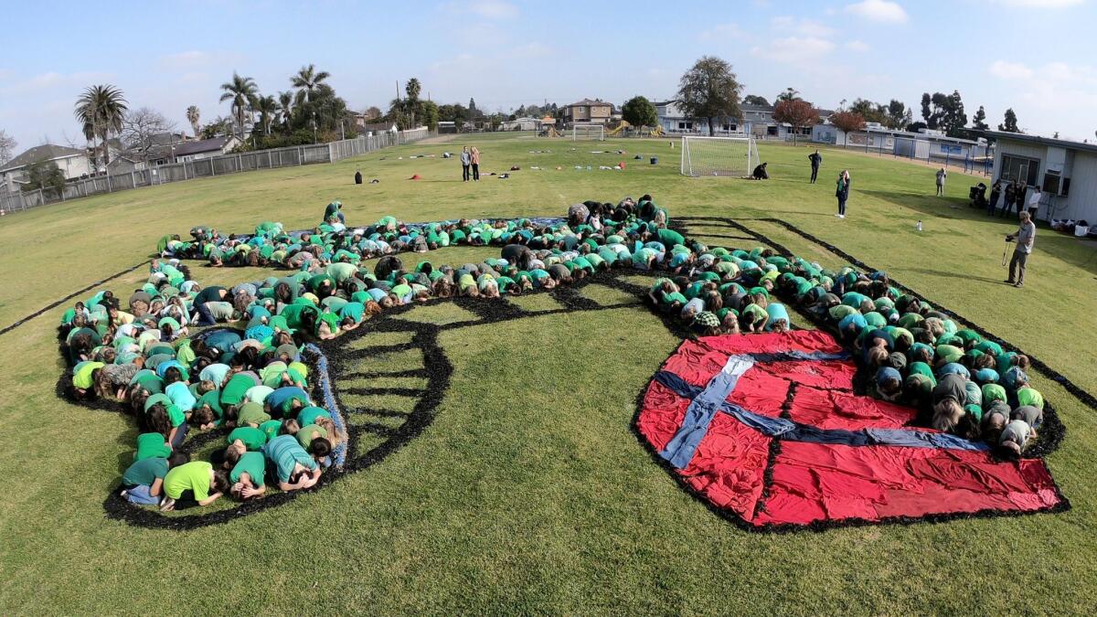 Students at Woodland Elementary School in Costa Mesa form an image of a dragon during an “Art for the Sky” project Thursday at the school.