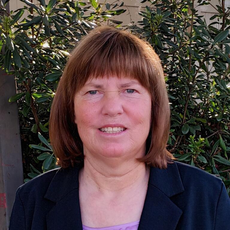 Meet the candidates for San Diego mayor Q&A with Jane Glasson The