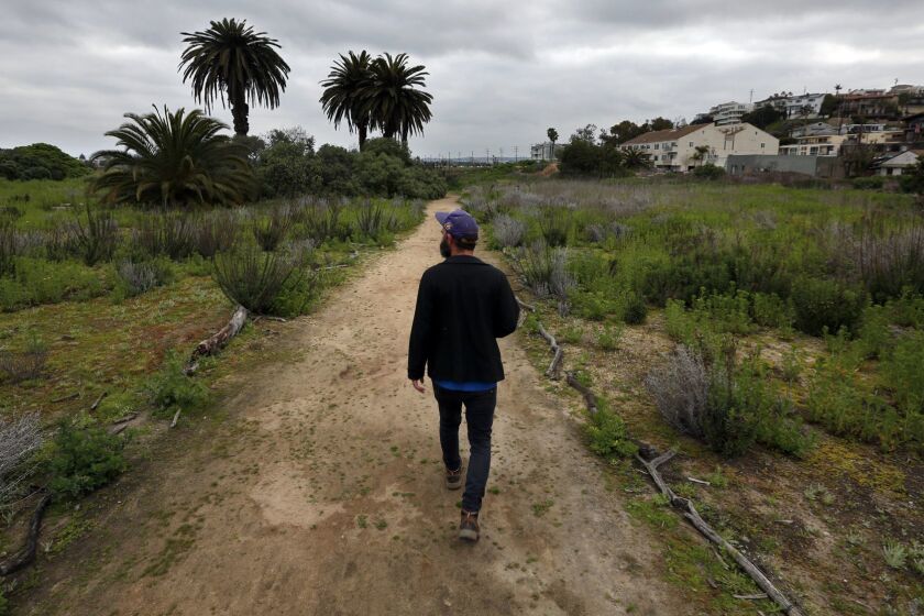 "This area is particularly bad this year," botanist Patrick Tyrrell said about the infestation of non-native weeds at Ballona Wetlands, just north of Los Angeles International Airport.