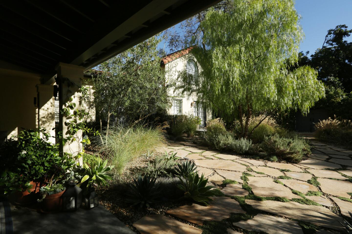 A pepper tree breaks up the yard and creates privacy between the main house and the guest house.
