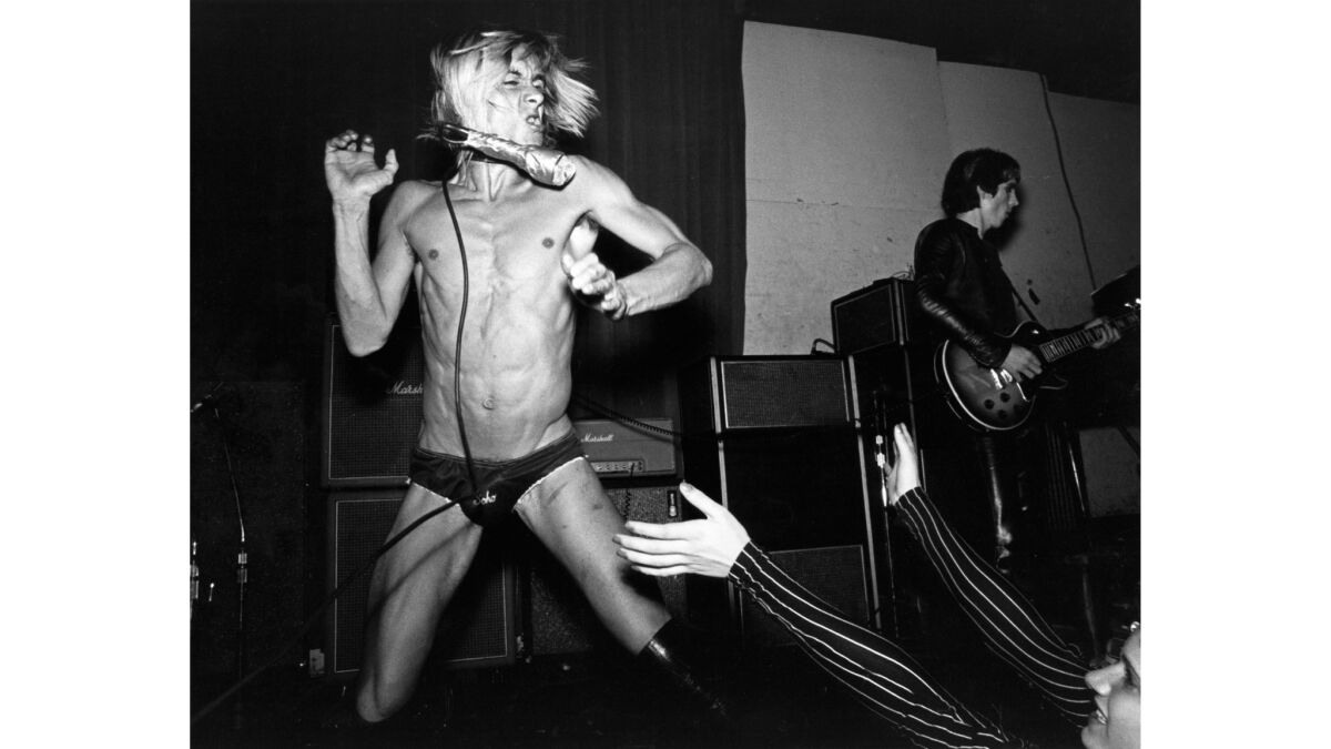 Iggy Pop with the Stooges in 1973. His performances are legendary.
