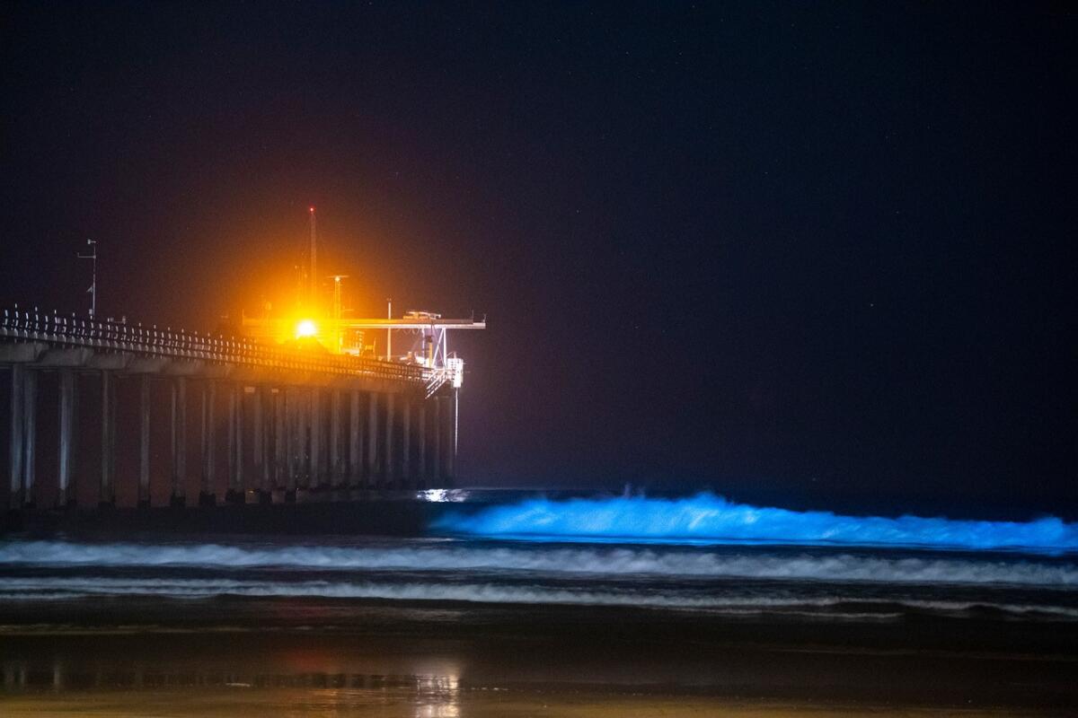 Bioluminesence lights up the surf at La Jolla Shores in 2020.