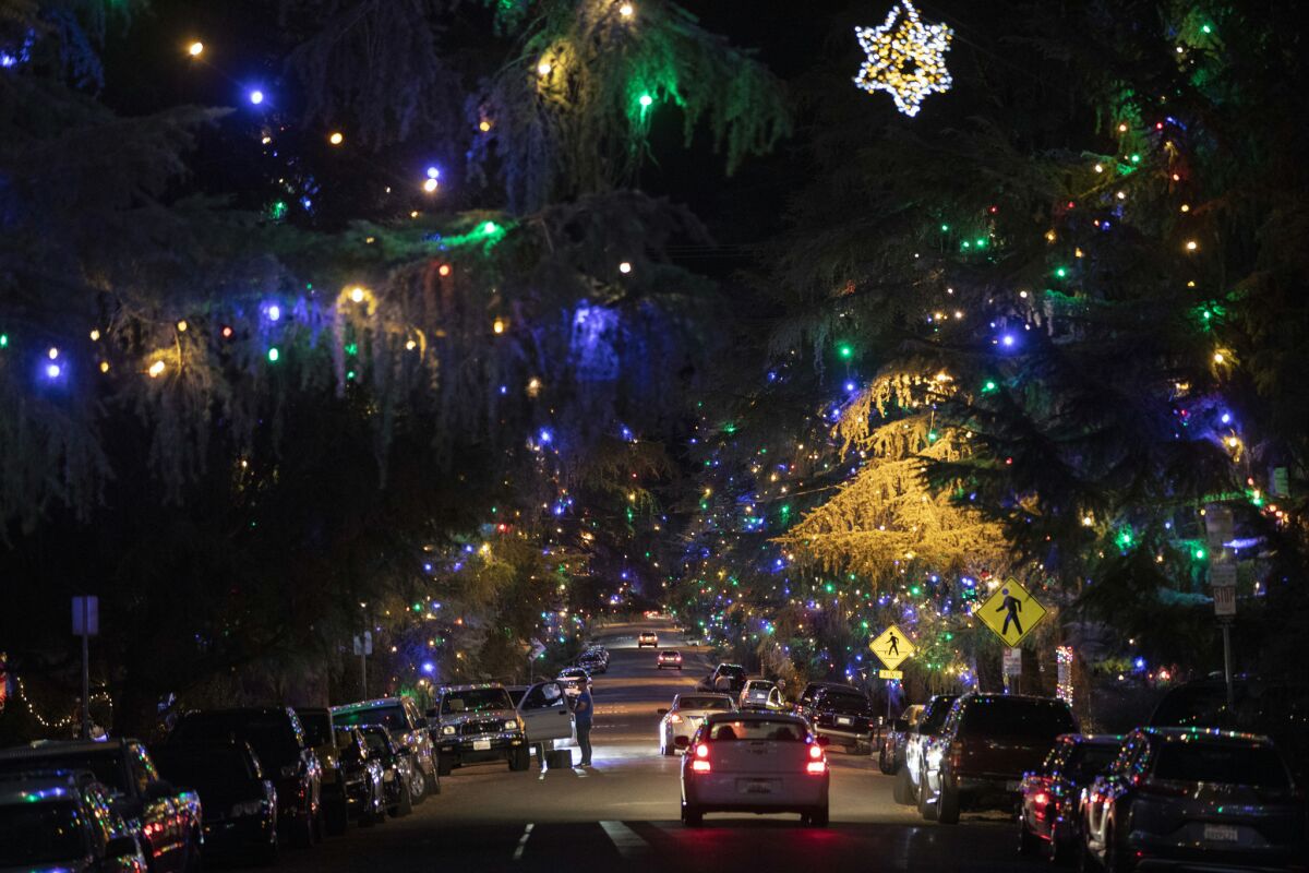 Motorists cruise Santa Rosa Avenue, better known as Christmas Tree Lane, in Altadena. Trees have been decorated by community volunteers annually since 1920.