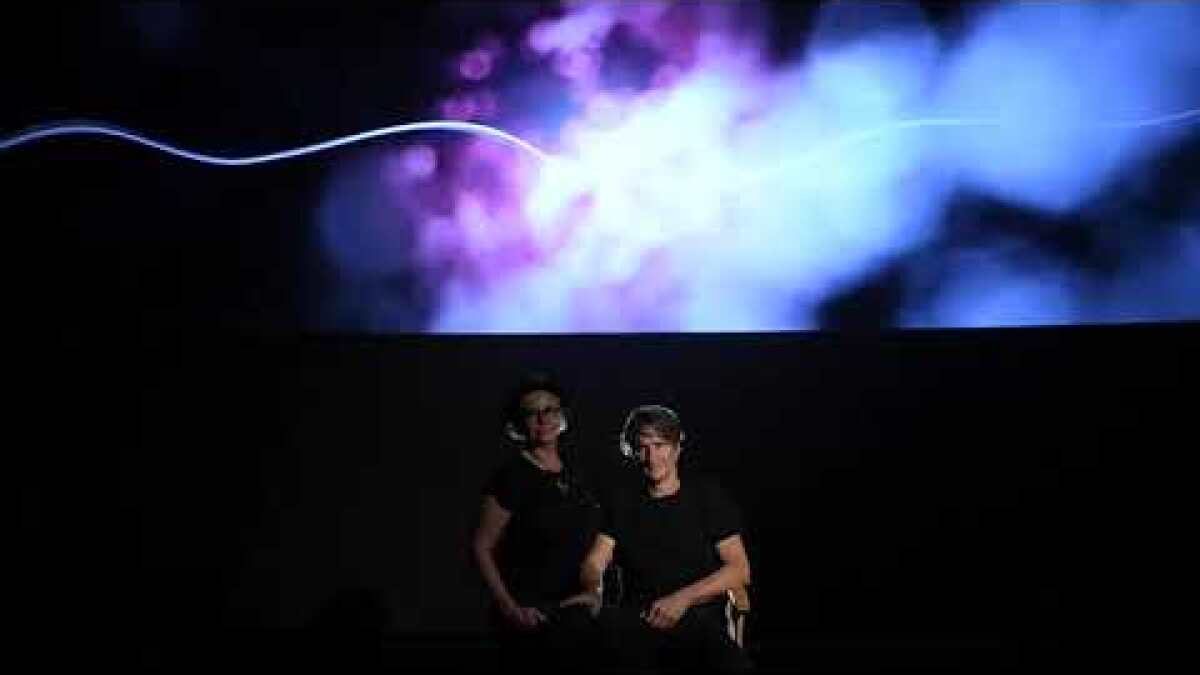 Michael Patterson And Candace Reckinger Turn Animation Into A Wild