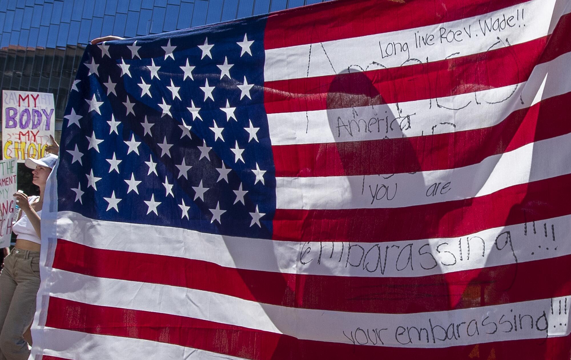 A protester is silhouetted while holding an American flag on which a message has been scrawled
