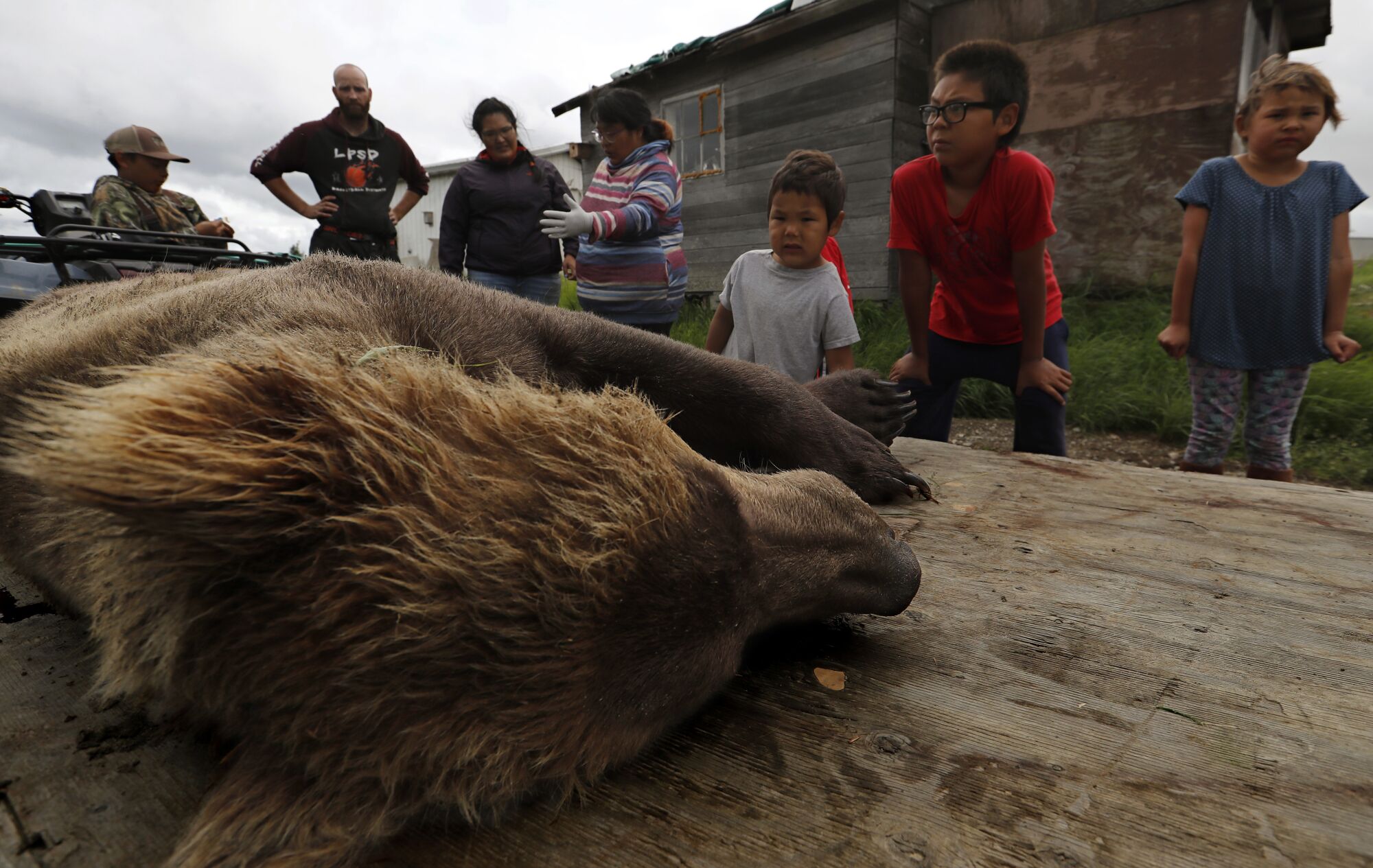 Residents of Igiugig, Alaska, look at a bear shot to prevent attacks on villagers.