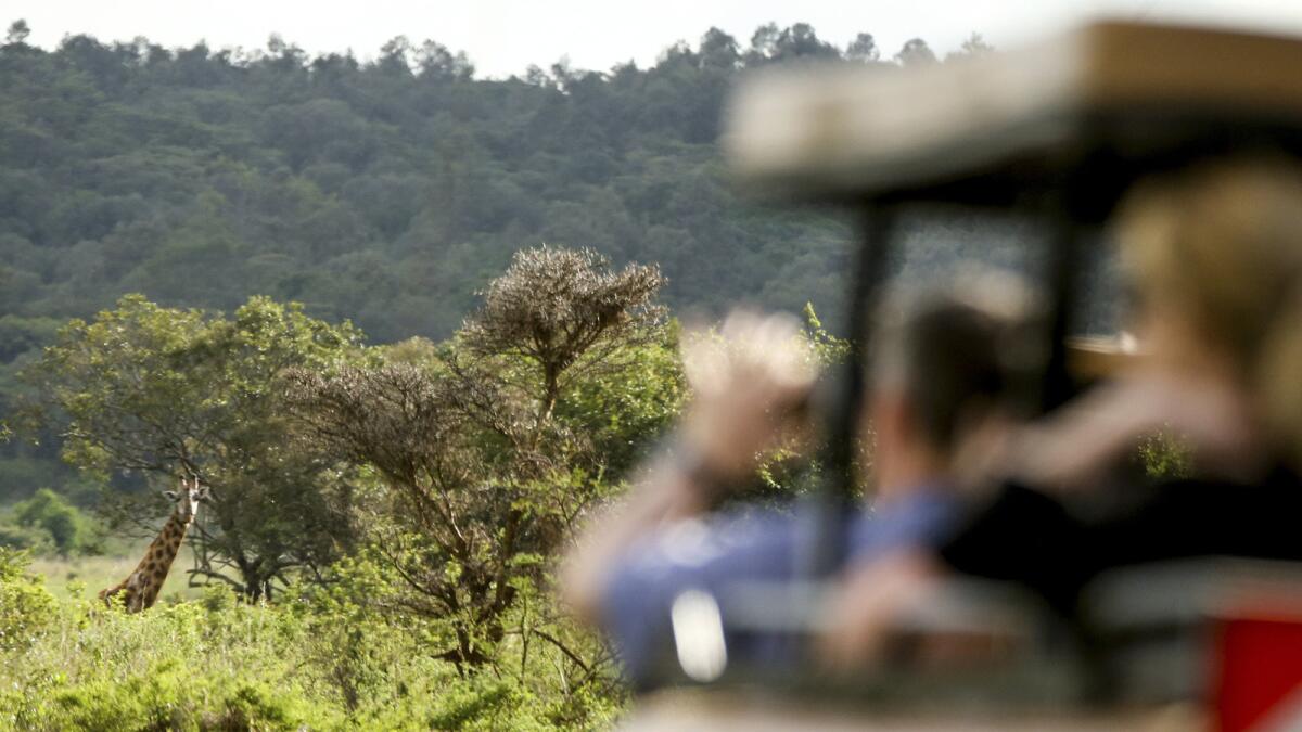 A group of senior officials in the Kenya government traveled from Nairobi, pictured, to Los Angeles last week on a mission to promote more filming in the East Africa country.