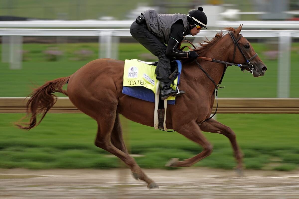 Taiba works out at Churchill Downs ahead of the Kentucky Derby in May.