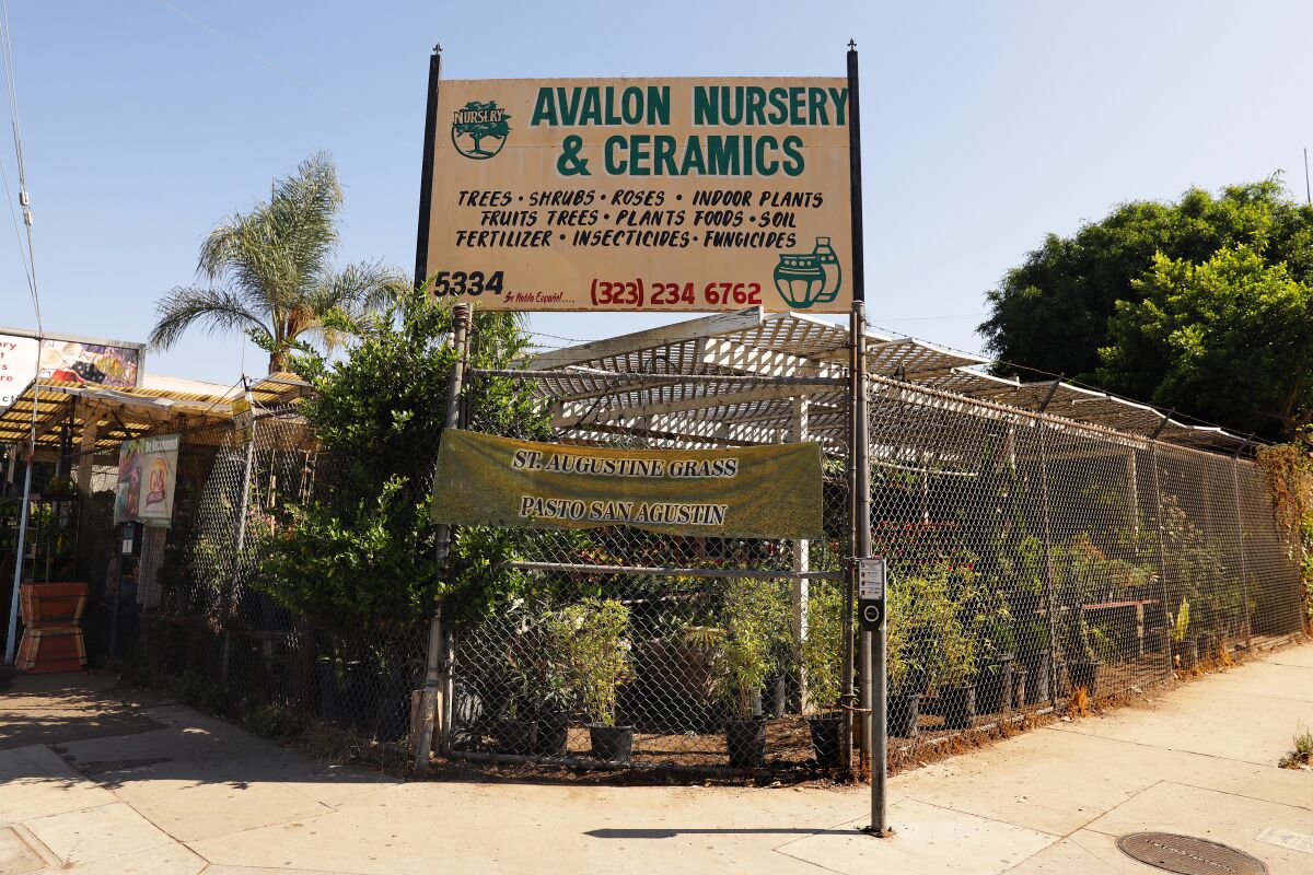 Un letrero en la esquina sobre un área cercada que dice "Avalon Nursery & Ceramics"