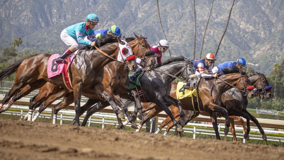 Horses gallop out of the starting gate at Santa Anita on March 29.