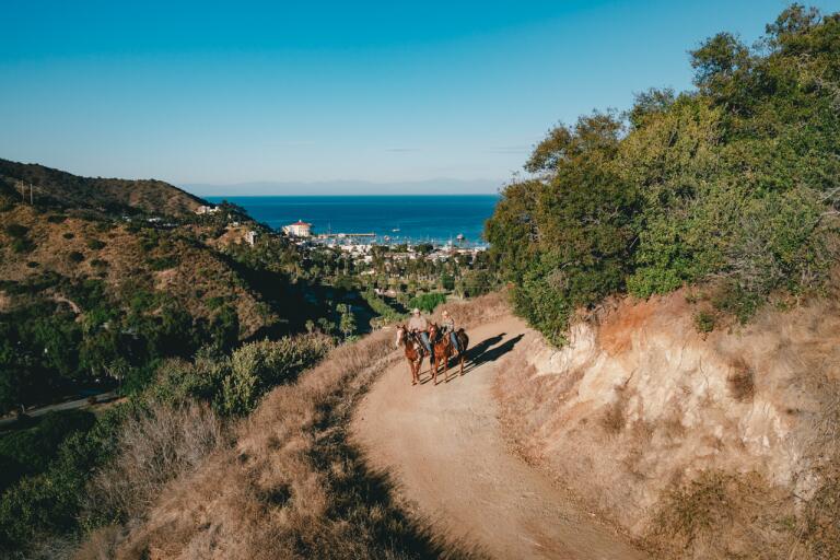 On Catalina, you can now ride a horse on rolling hills to scenic cliffs ...