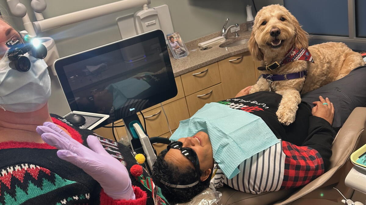 A dog on your lap at the dentist? 'Yes, please.' - The San Diego Union-Tribune - Vimarsana News