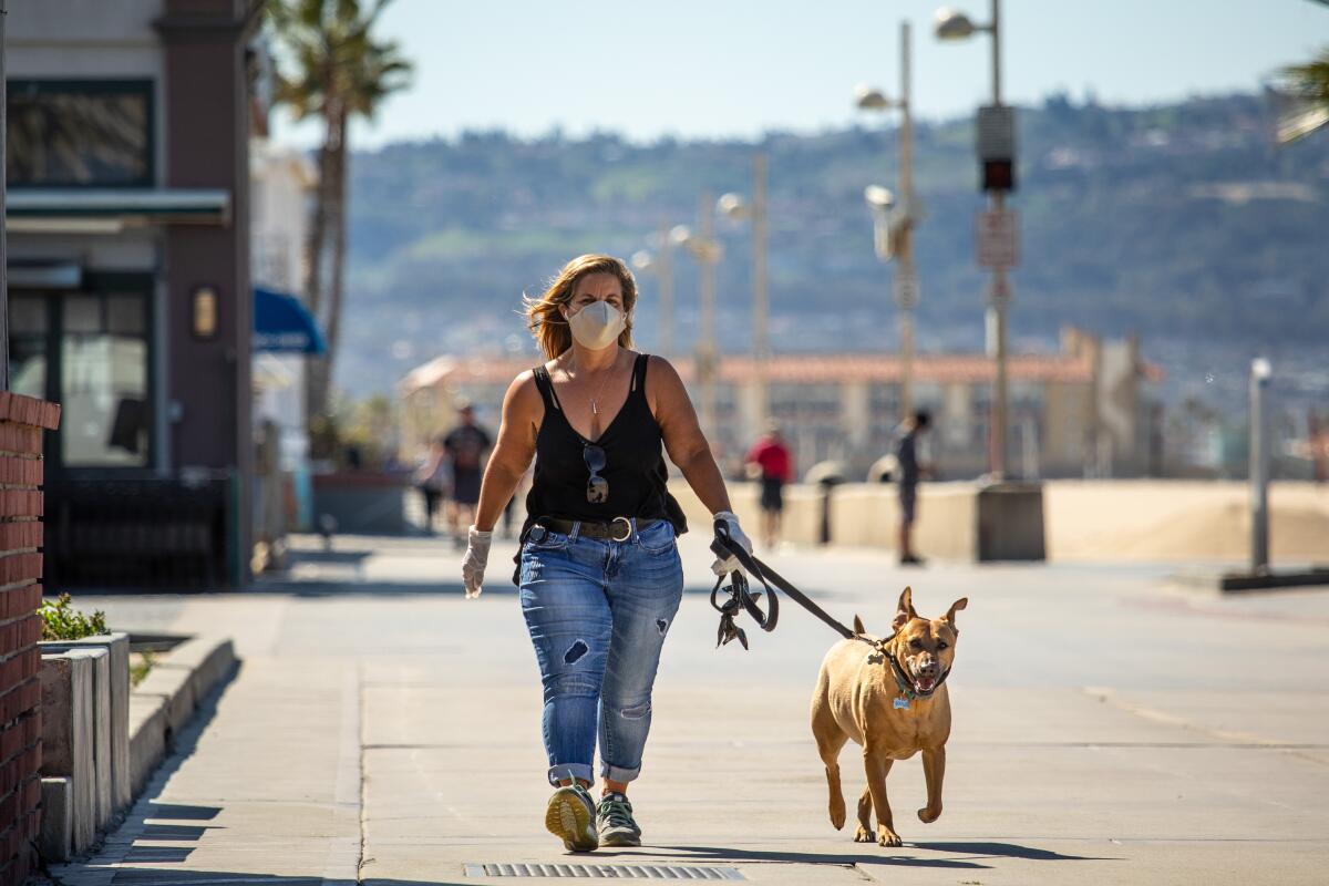 Gloves and a mask have started to become standard gear for dogwalkers, as seen along The Strand on Thursday in Hermosa Beach. 