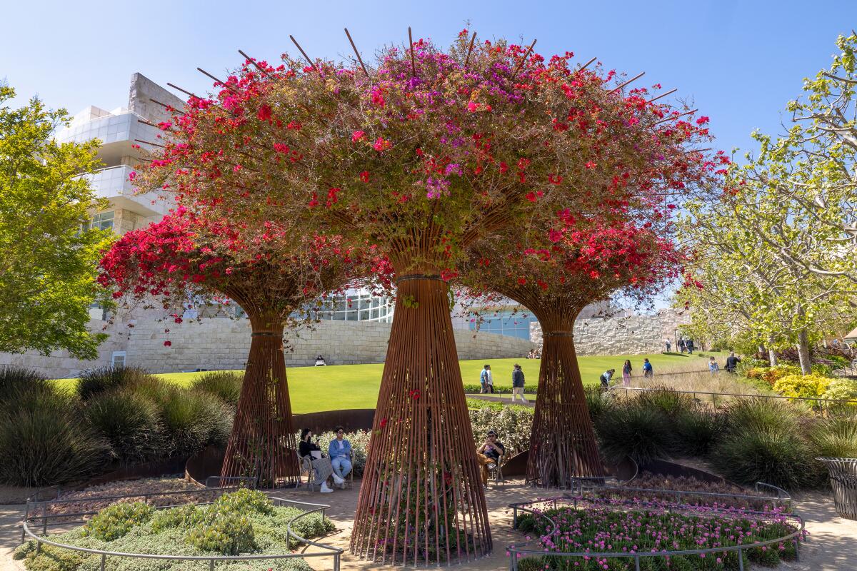 Visitors enjoy the Getty's "Central Garden," where bougainvillea blooms in steel towers.