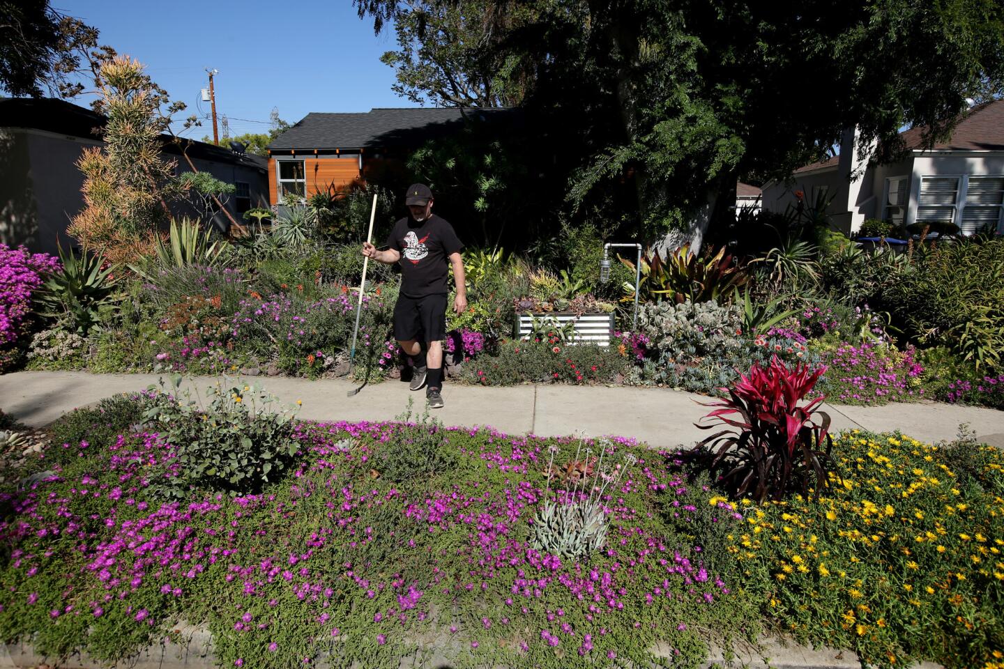 This Burbank drought garden is anything but dull