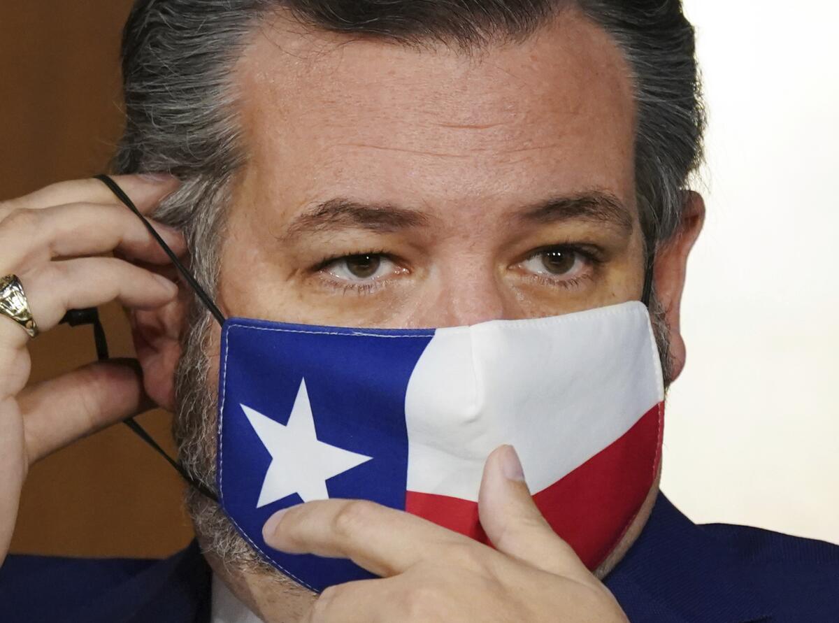 Sen. Ted Cruz in a face mask with a Texas flag design.