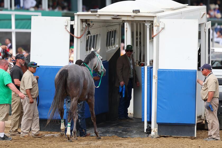 LOUISVILLE, KENTUCKY - MAY 06: Here Mi Song is lead into a equine ambulance after racing in the tenth race.