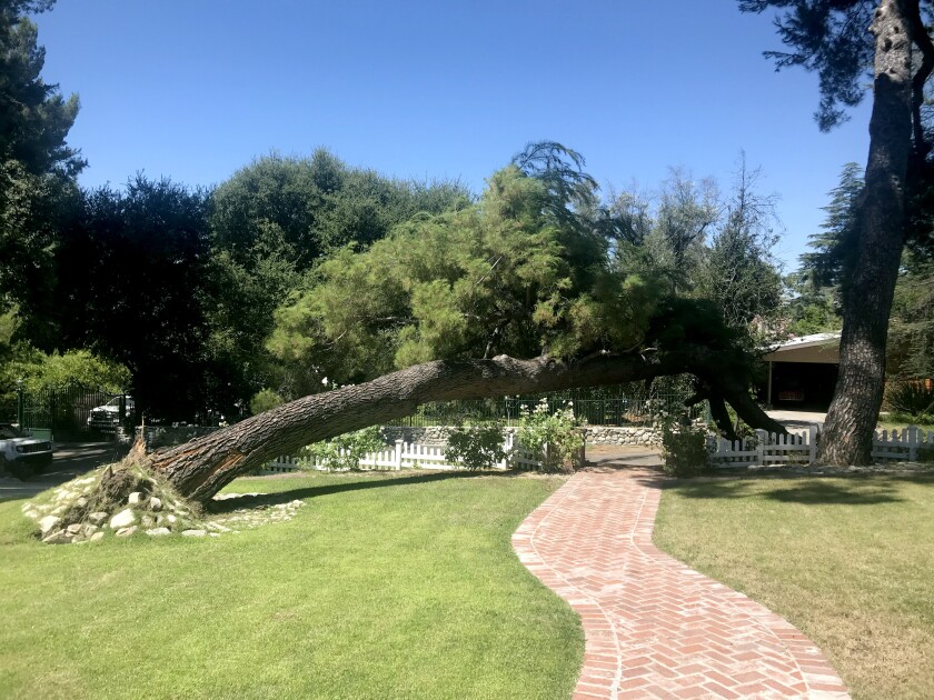 5310 La Forest Drive, La Cañada Flintridge