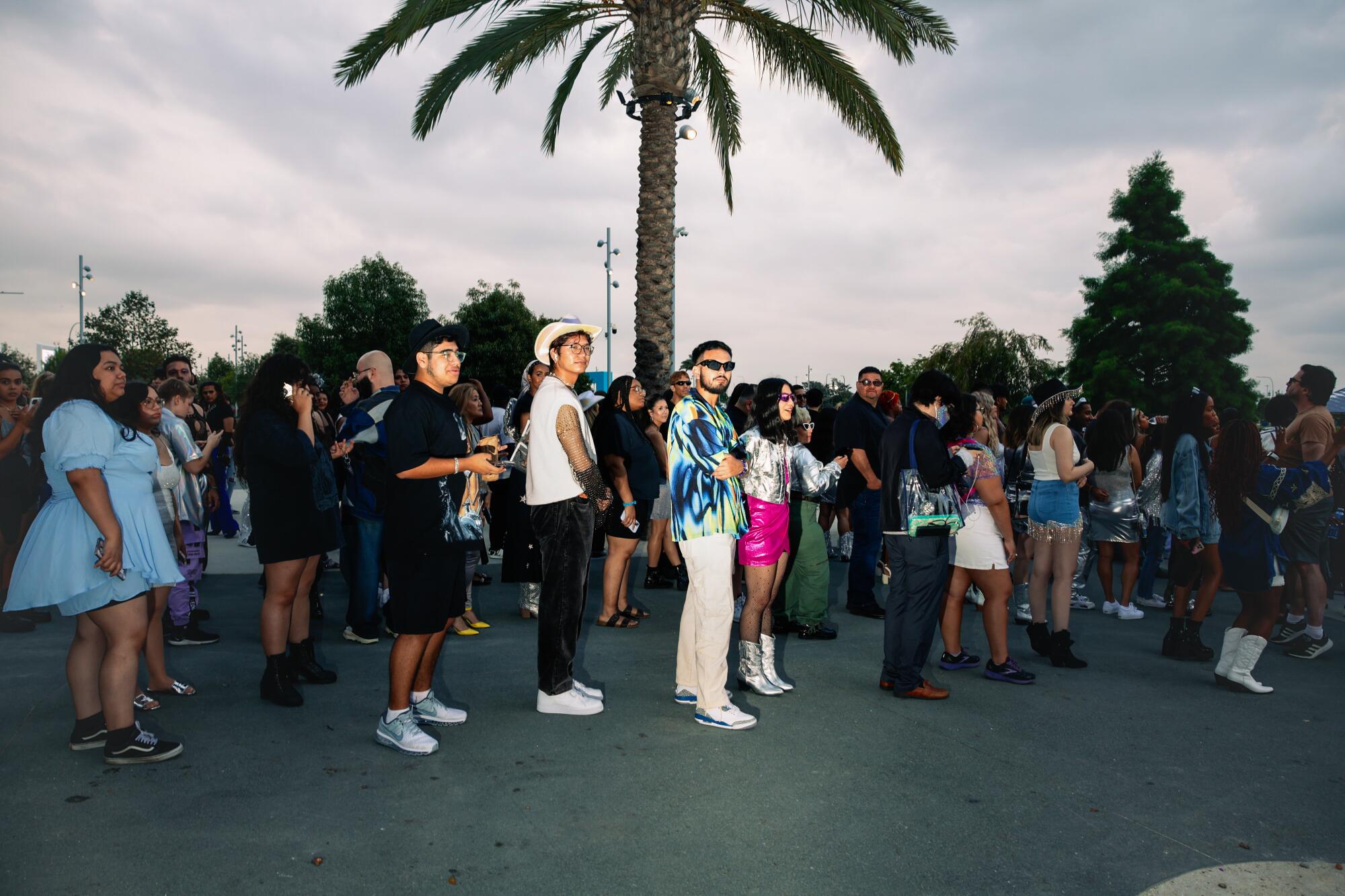 People line up near a palm tree.