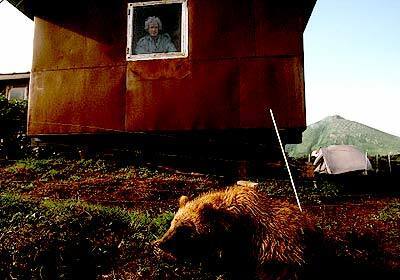 Charles Russell looks out from the cabin he built near Kambalnoye Lake in Kamchatka. One of the bear cubs, who he saved but are now missing, walks nearby.