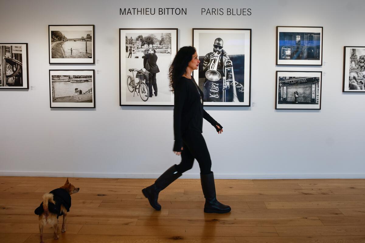 A woman dressed in black walks past a photo exhibition as a small dog watches her