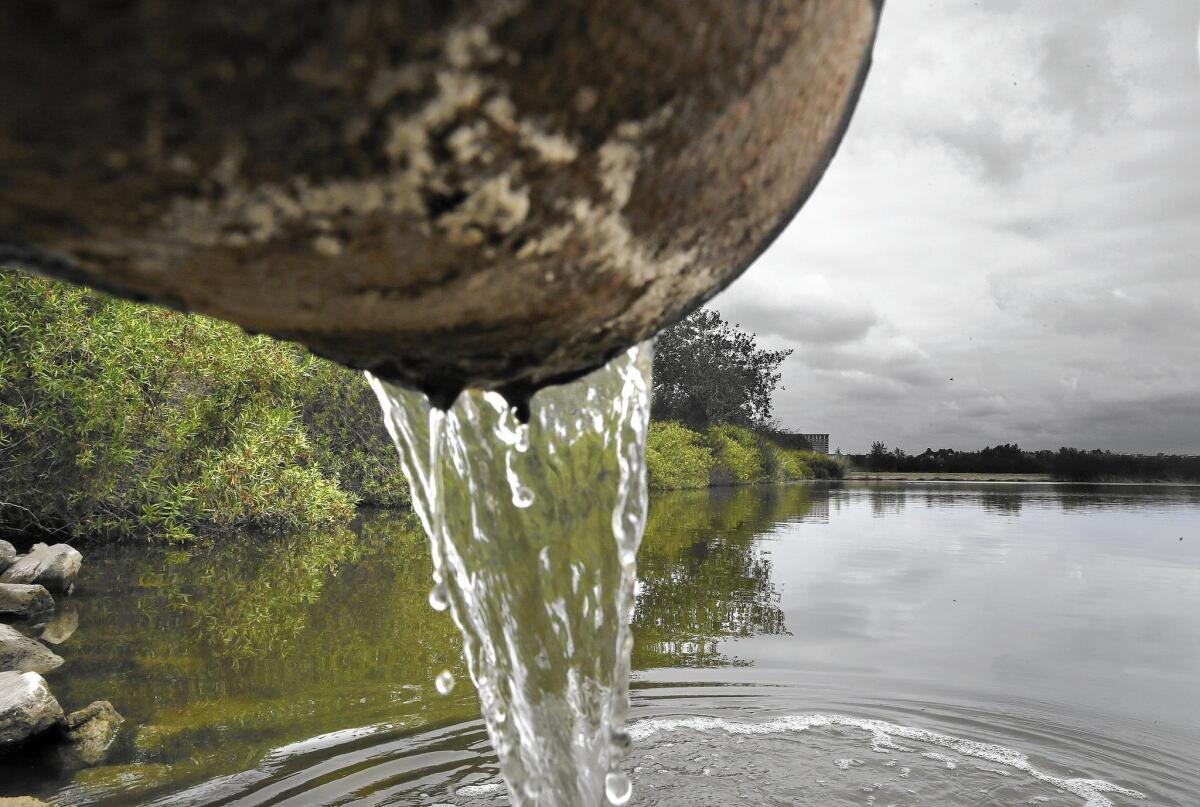 Coastal communities in California flush hundreds of billions of gallons of treated sewage into the Pacific Ocean each year. Above, urban runoff water flows into a pond at the Irvine Ranch Water District's San Joaquin Marsh & Wildlife Sanctuary in Irvine.