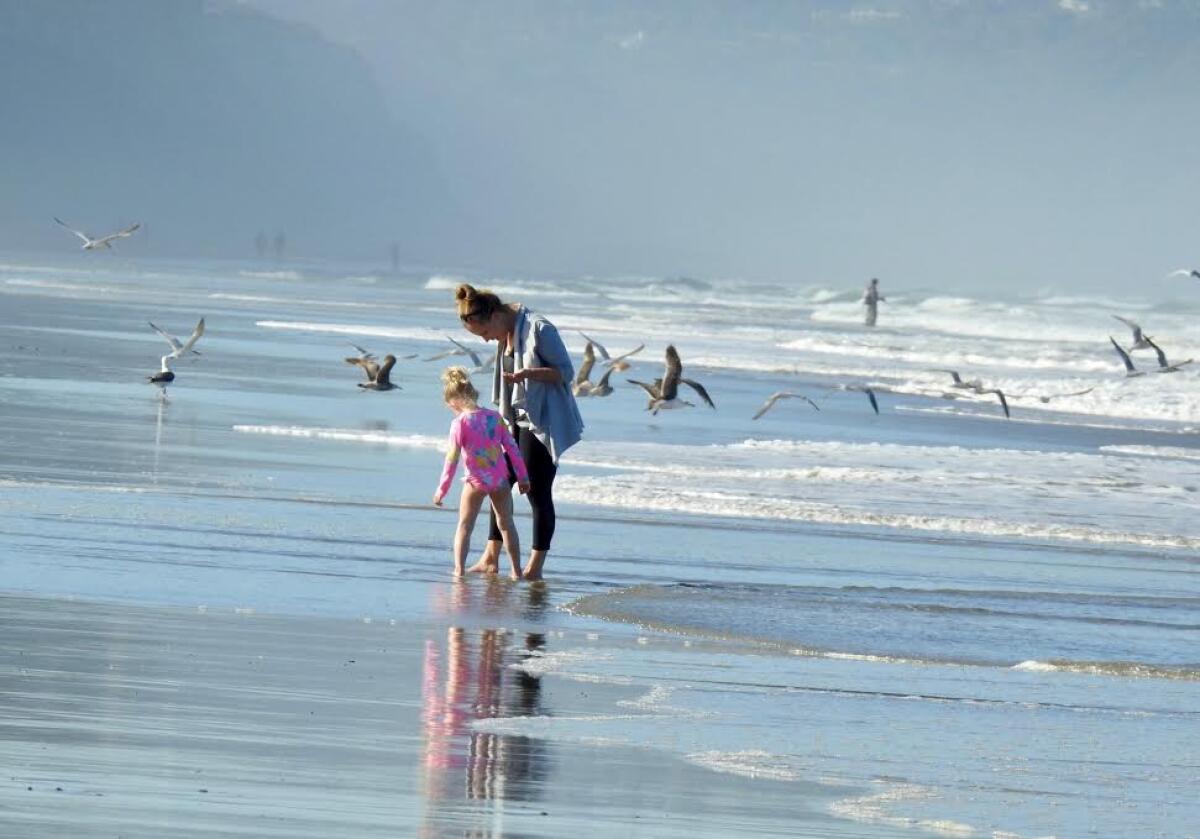 Sea surface temperatures are in the 59 to 63 degree range at local beaches