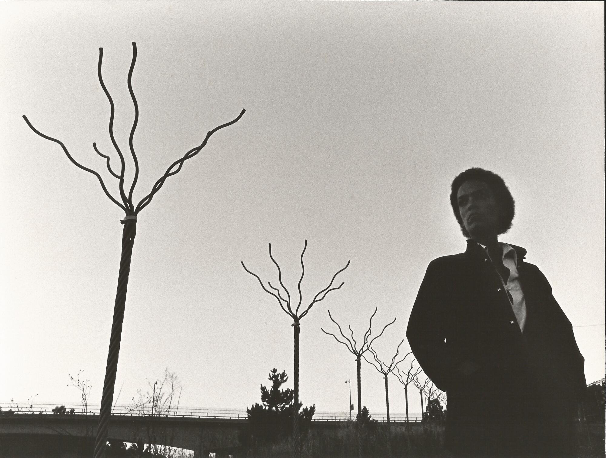 Maren Hasssinger, “Twelve Trees #2,” (Documentation Photograph), 1979, Black and white photograph