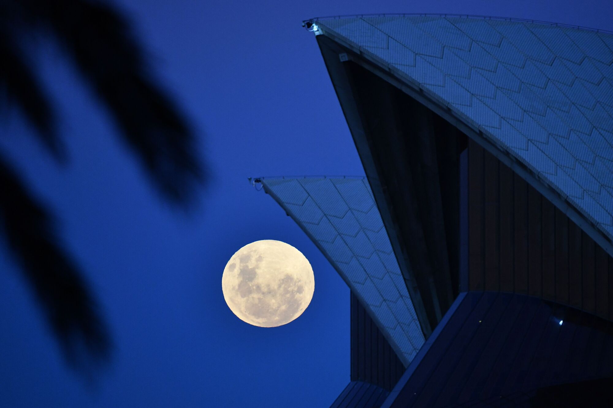 The full moon rises over the Sydney Opera House