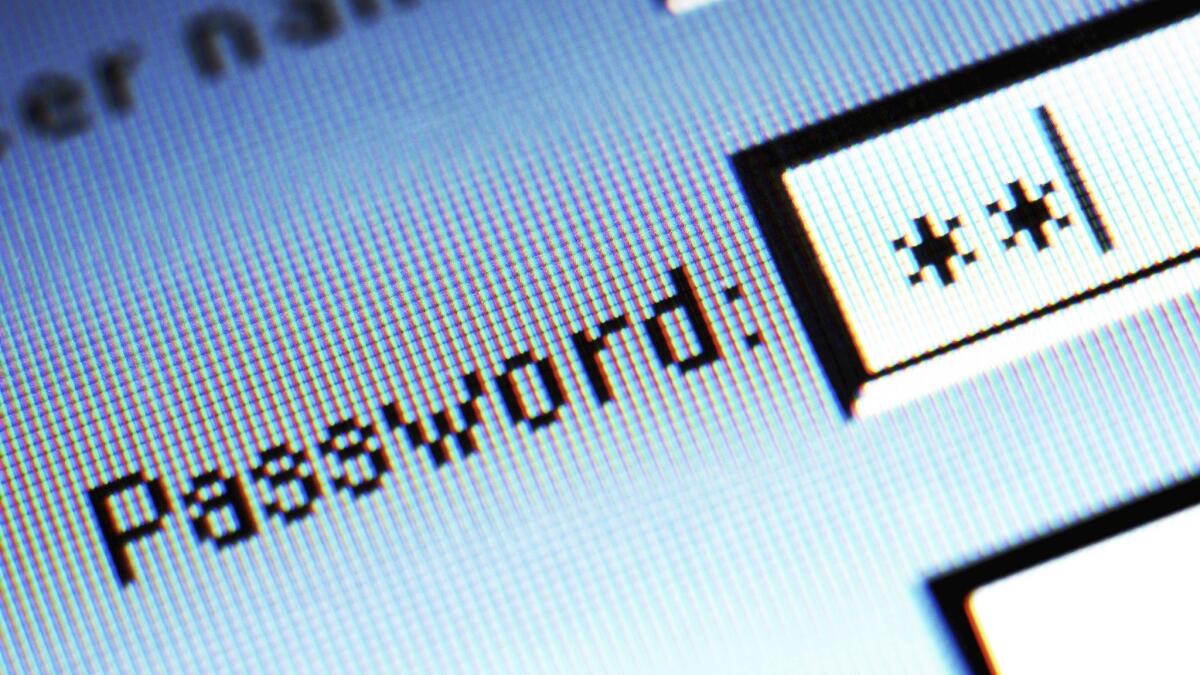 Password field on computer screen is shown in a close-up. 