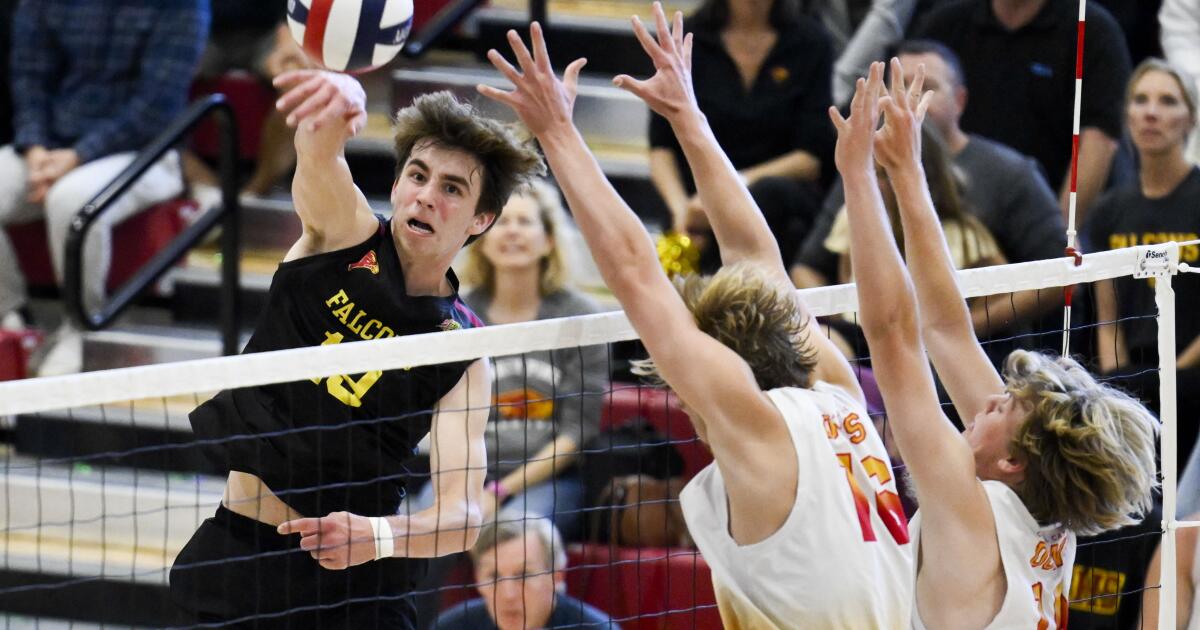 Boys volleyball rankings: Torrey Pines finishes season tops in San Diego Section