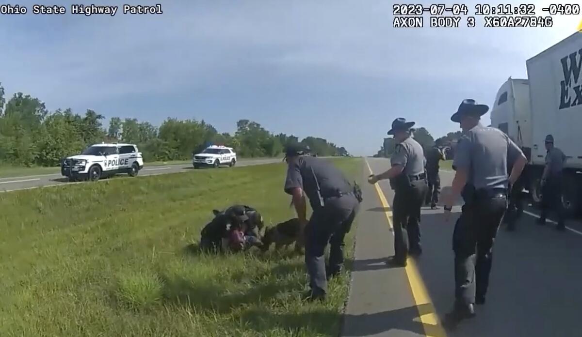 Law enforcement officers watch as a police dog attacks a man on the ground. 