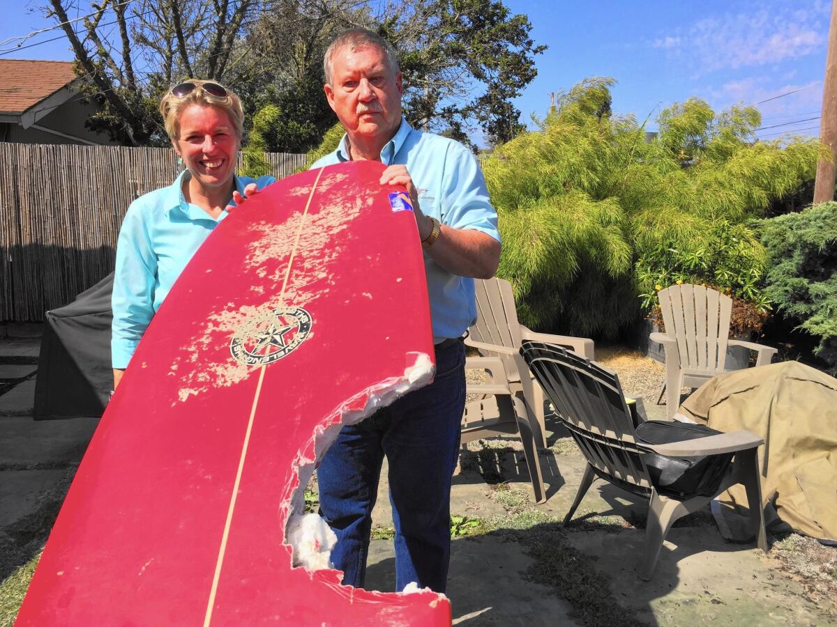 Elinor Dempsey with shark expert Ralph Collier, who came to her home in Los Osos to examine her surfboard and try to get a sample of the shark's blood for DNA testing. He said the shark was probably 11 or 12 feet long.
