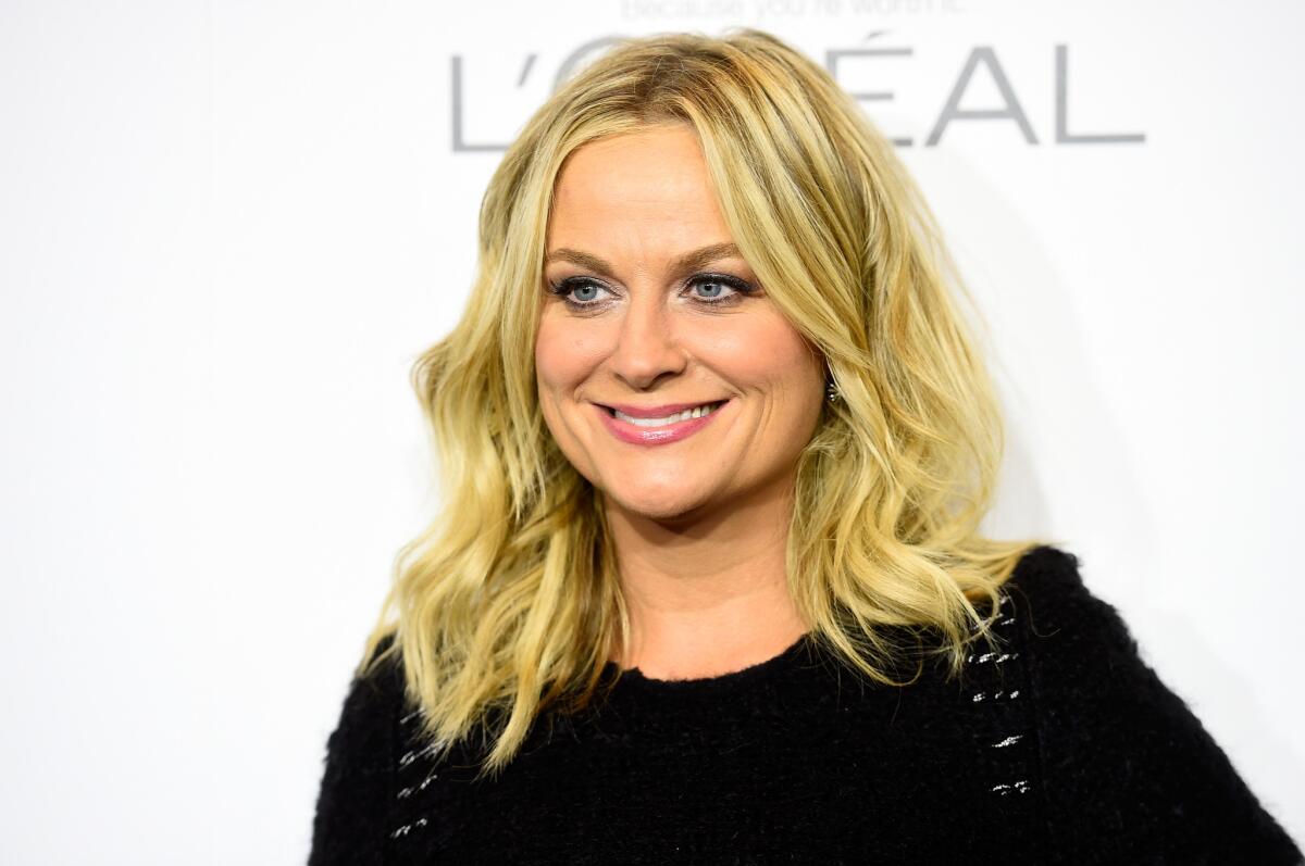 Amy Poehler told "Today" that the next Golden Globes show will be the last one she and Tina Fey co-host.